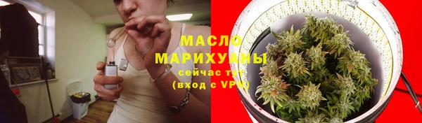 PSILOCYBIN Алзамай