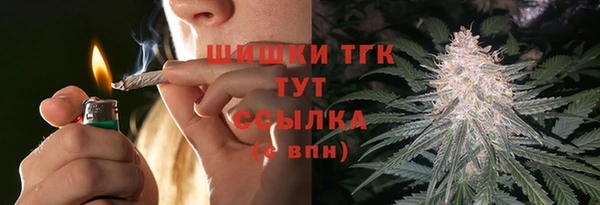 PSILOCYBIN Алзамай