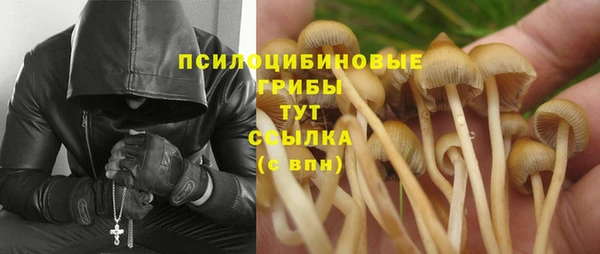 экстази Алексин