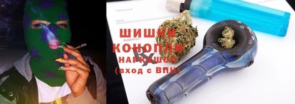 PSILOCYBIN Алзамай