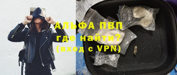 PSILOCYBIN Алзамай