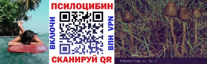 Псилоцибиновые грибы ЛСД  Купить  Тавда 