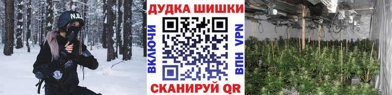 Каннабис сатива  Купить  Тавда 